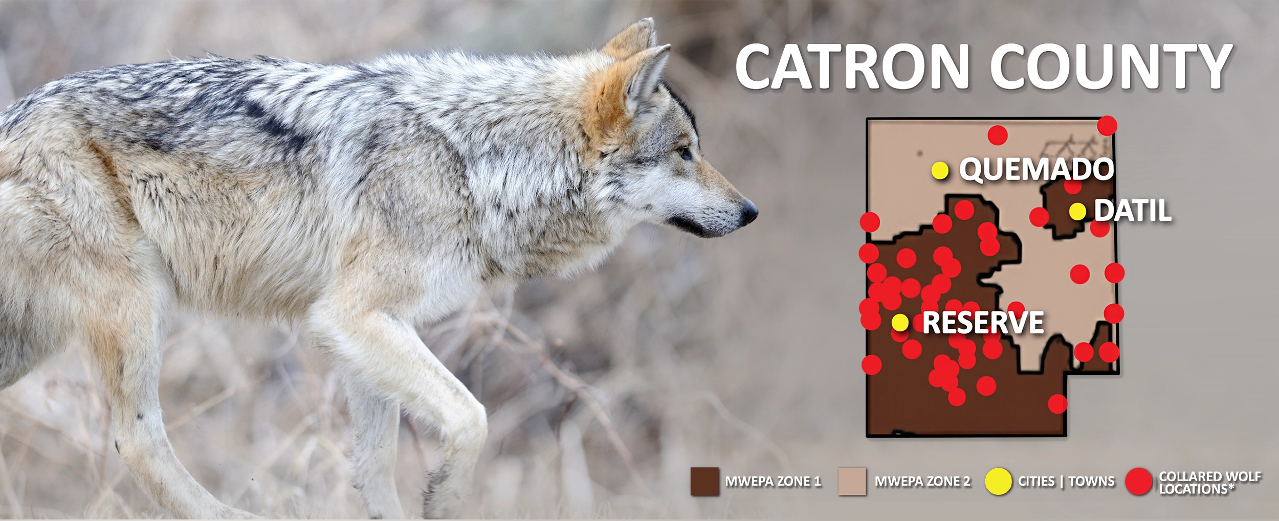 2025 Wolves Among Us - Catron County Banner Graphic 2500x